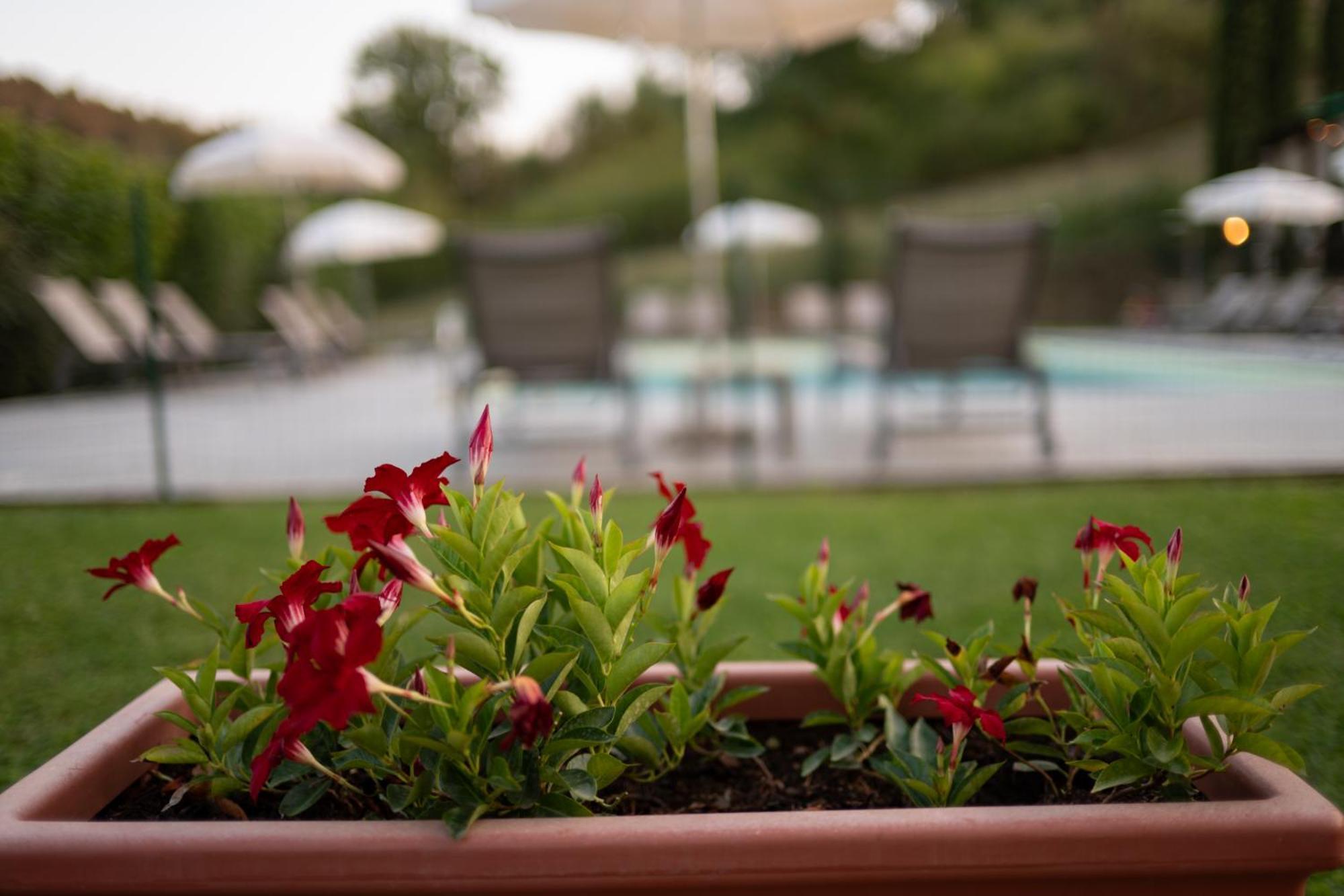 Borgo Santa Maria In Valle Holiday home Laterina