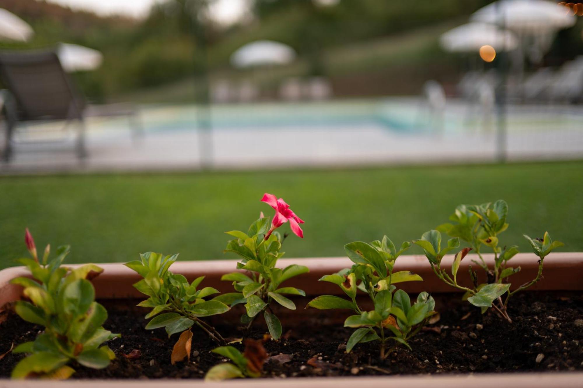 Borgo Santa Maria In Valle Holiday home Laterina